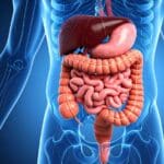 candidose intestinale traitement 1