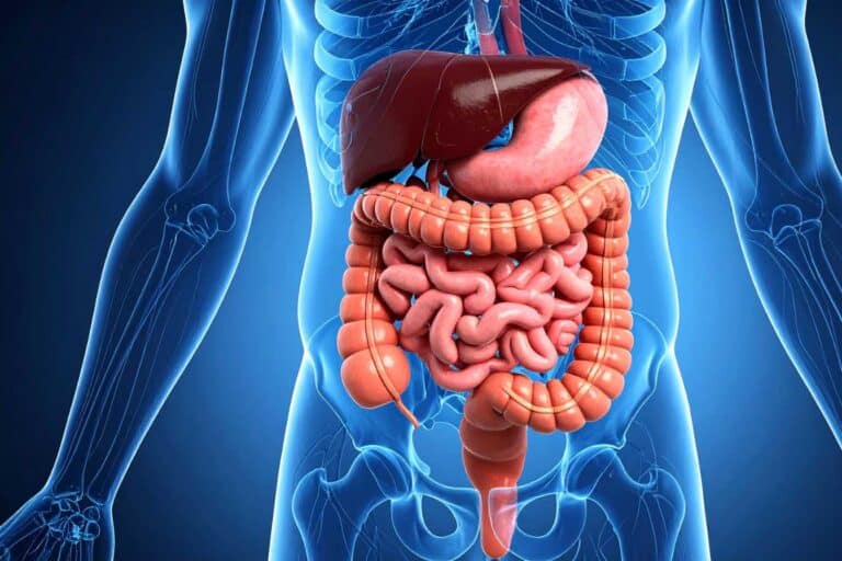 candidose intestinale traitement 1