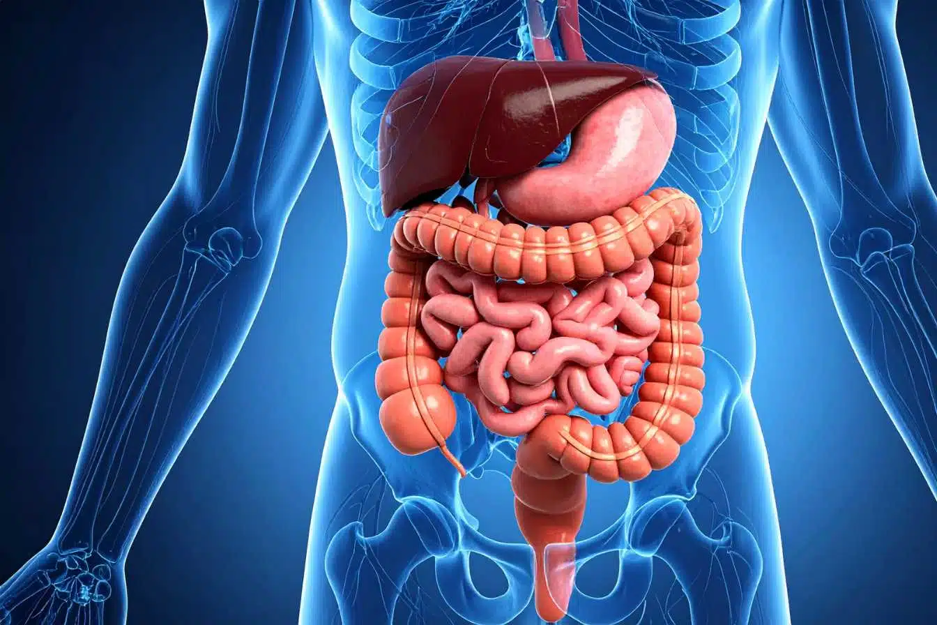 candidose intestinale traitement 1