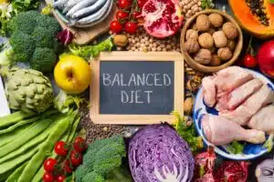 morphotype lactobacilles et alimentation un lien a connaitre 1