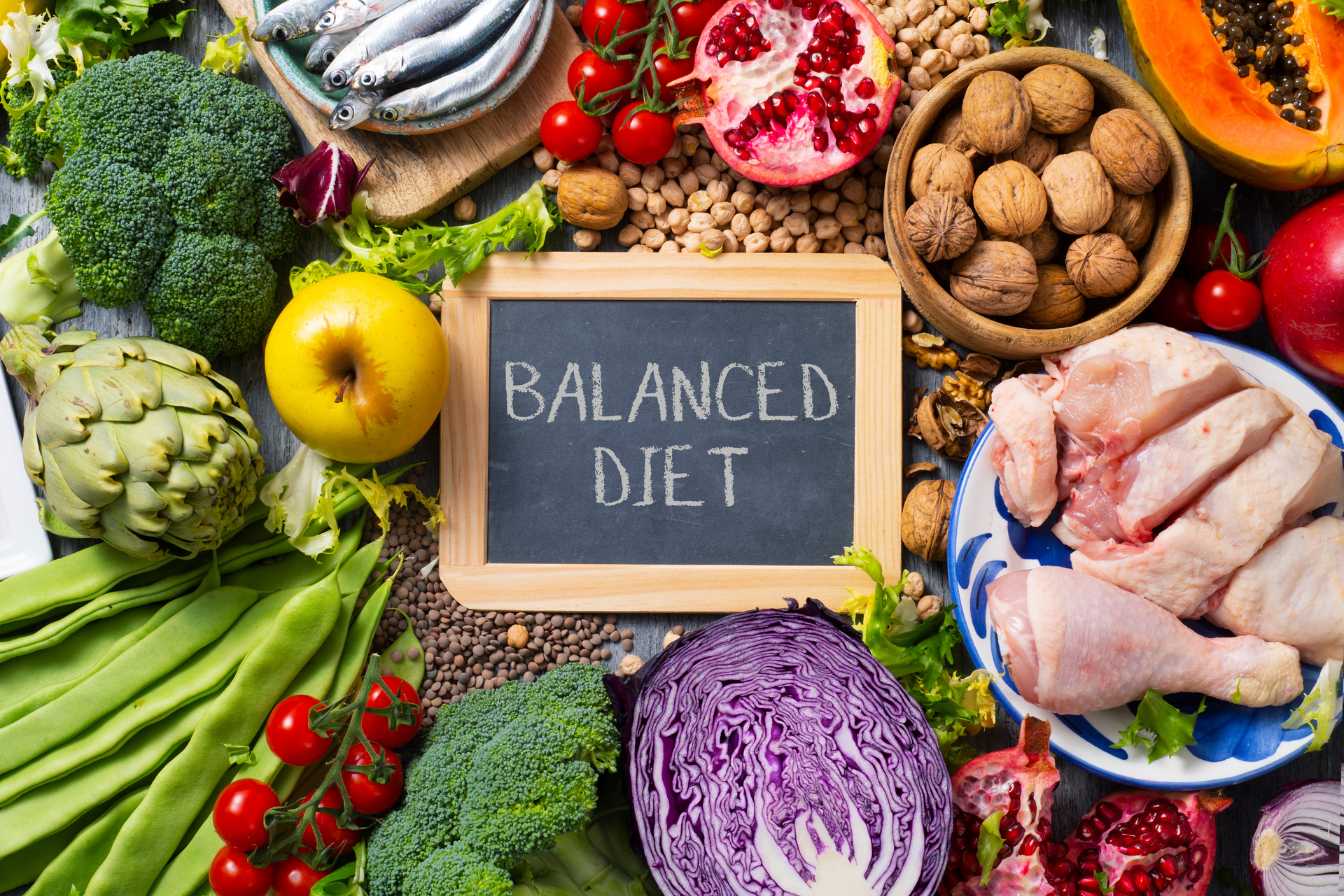 morphotype lactobacilles et alimentation un lien a connaitre 1
