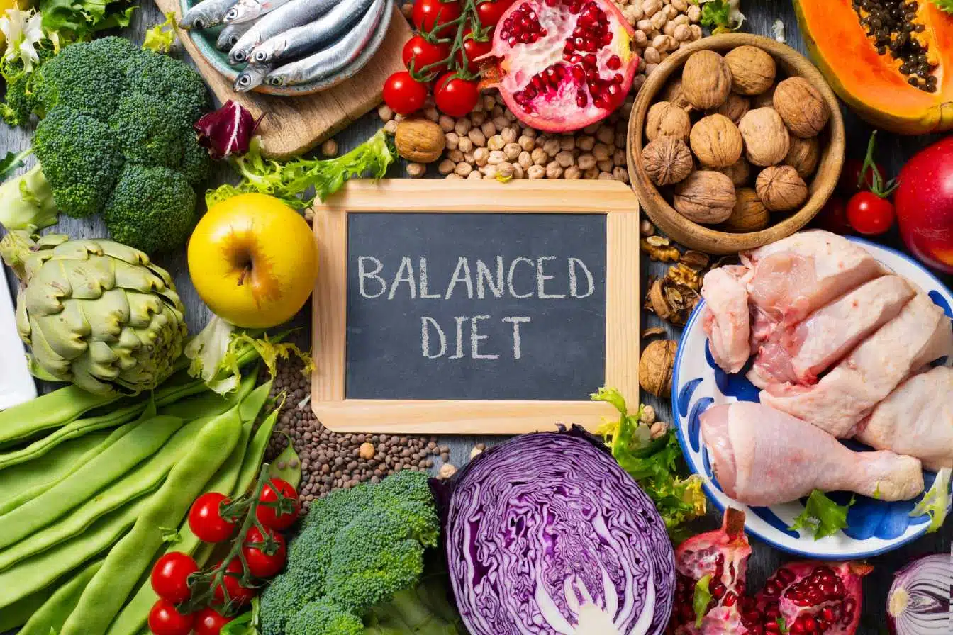 morphotype lactobacilles et alimentation un lien a connaitre 1